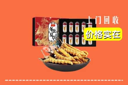 乌海市乌达回收虫草